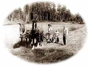 historical photo of people ploughing with a horse
