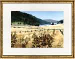 Paintings of Salt Spring