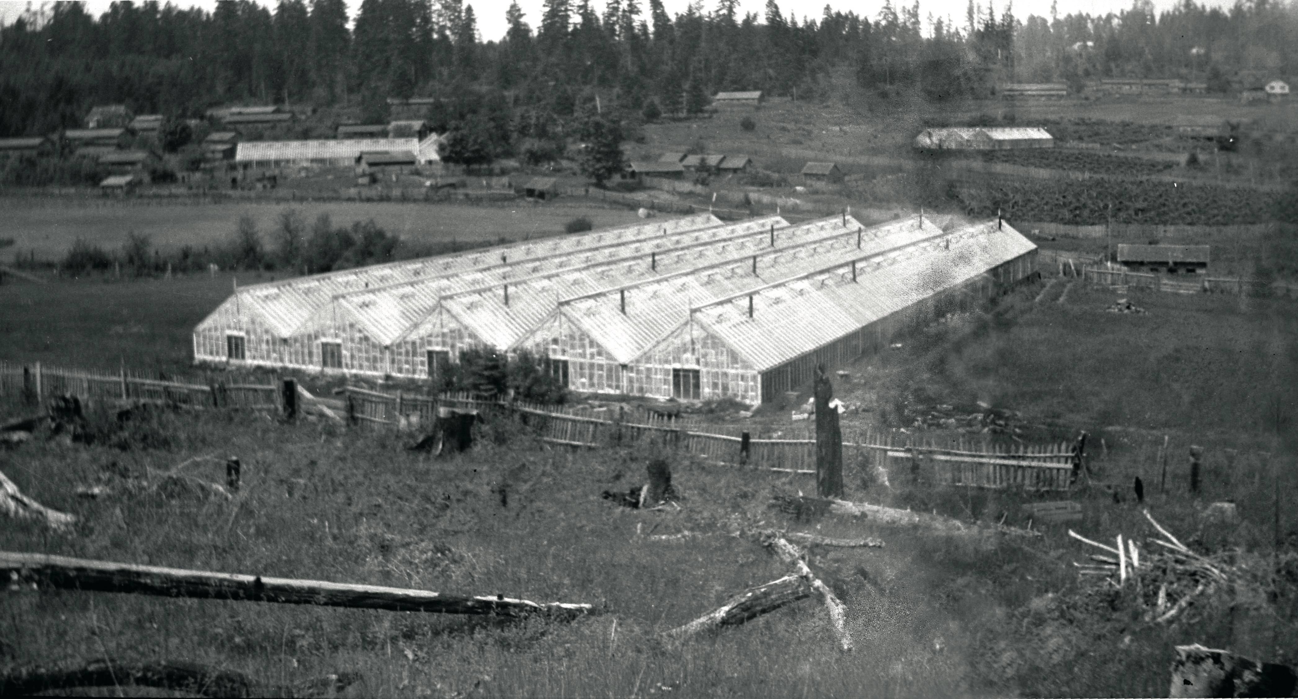 Okano Farm Greenhouses
