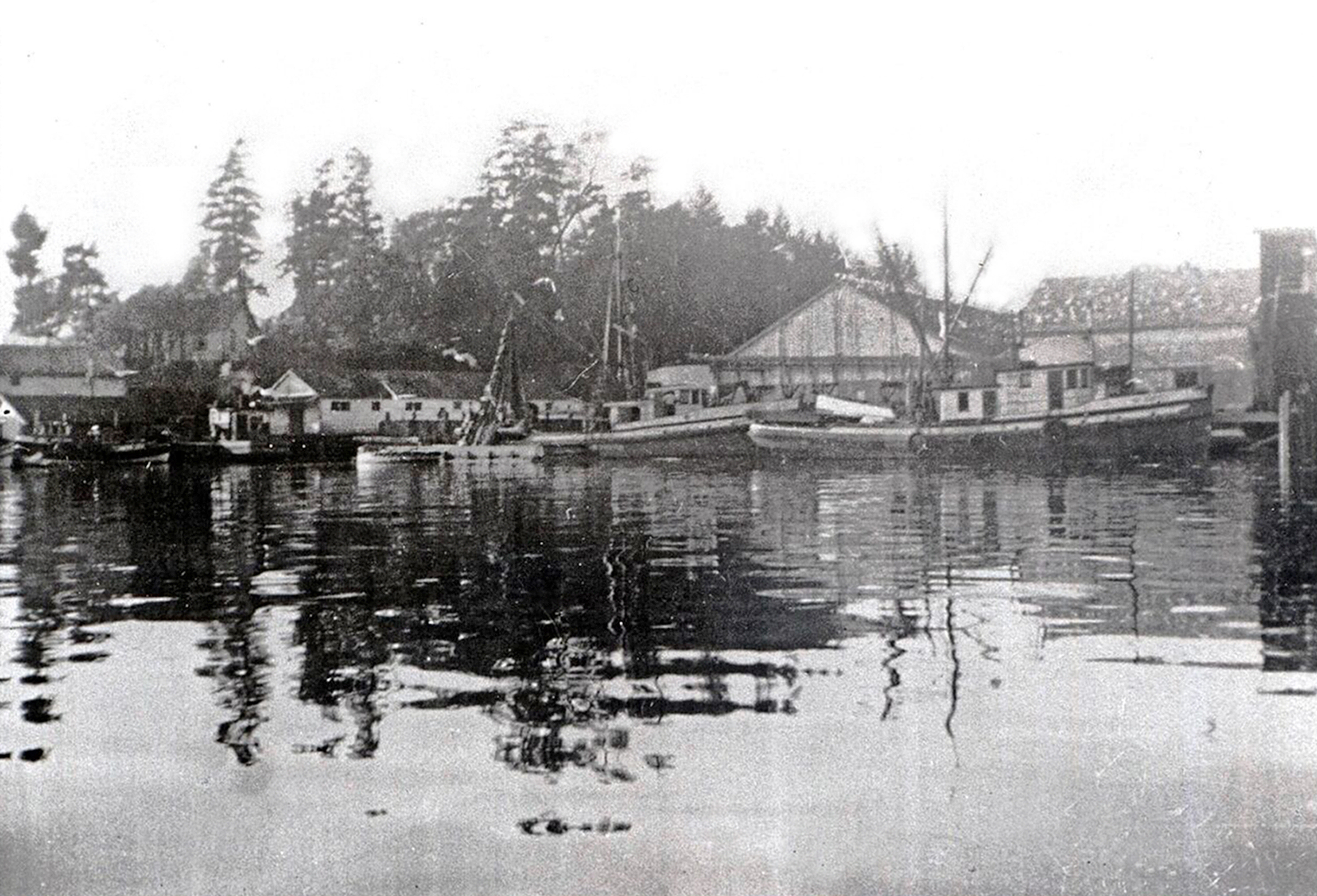 Fish Saltery