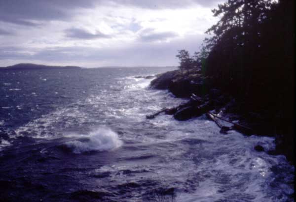 2008032068