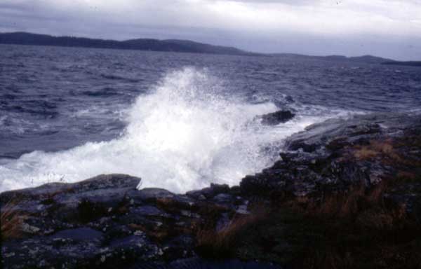 2008032070