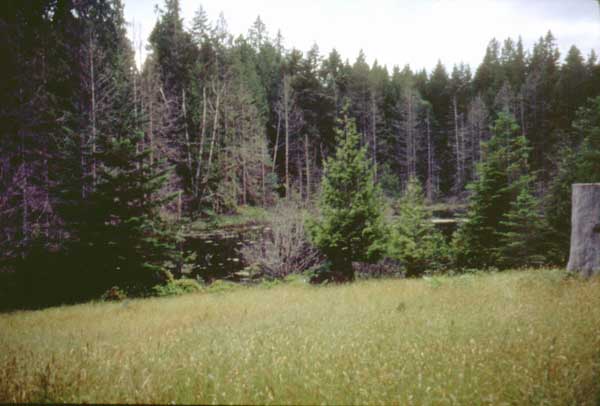 2008032074