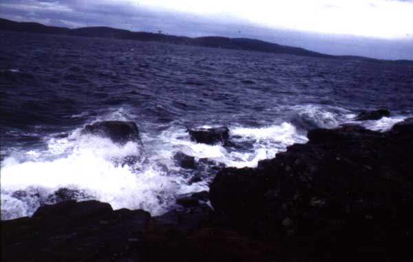 2008032075