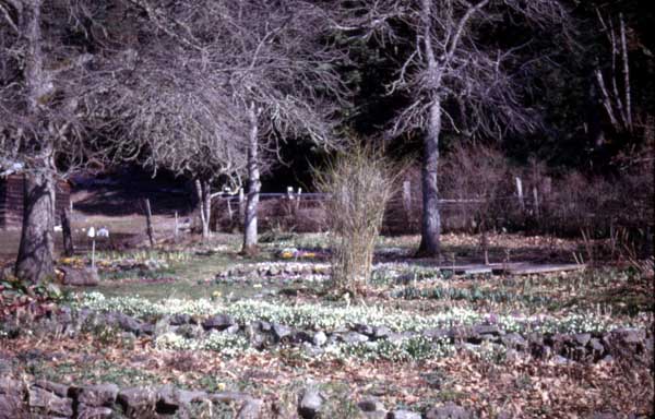 2008032076