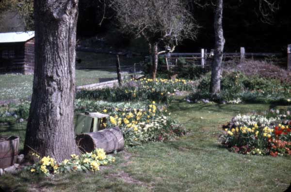 2008032077