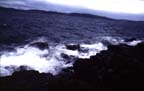2008032075